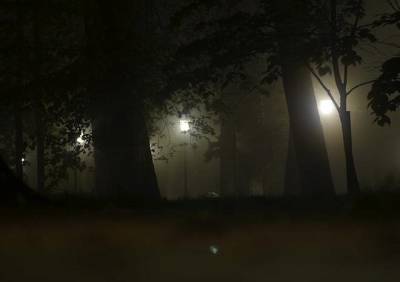 Жителей Рязанской области предупредили о тумане