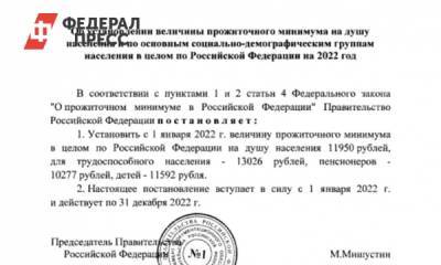 В РФ повысили прожиточный минимум на 2022 год