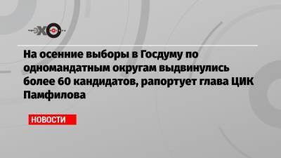 На осенние выборы в Госдуму по одномандатным округам выдвинулись более 60 кандидатов, рапортует глава ЦИК Памфилова