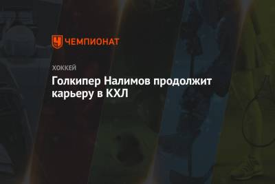 Голкипер Налимов продолжит карьеру в КХЛ