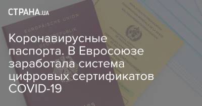 Коронавирусные паспорта. В Евросоюзе заработала система цифровых сертификатов COVID-19