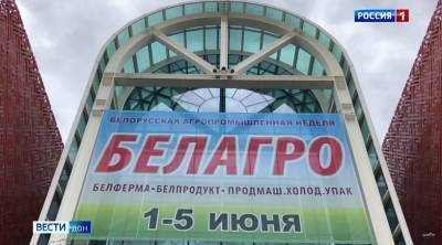 На выставке «Белагро-2021» донские производители заключили контракты с компаниями из Европы, Азии и Африки