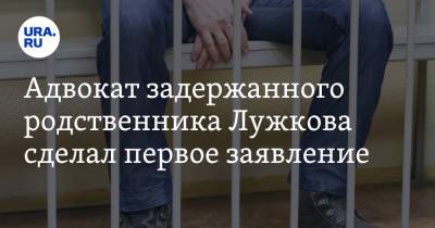 Адвокат задержанного родственника Лужкова сделал первое заявление