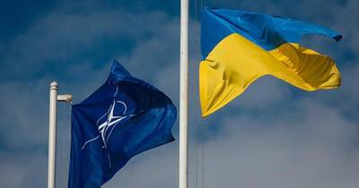 На Украине рассказали, когда страна выступит в НАТО