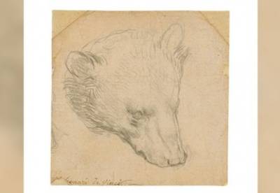 Крошечный рисунок Леонардо да Винчи продали за 12 миллионов долларов