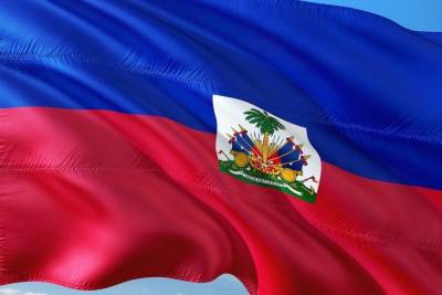 Сенат Гаити выбрал временного президента