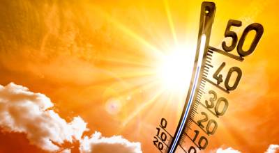 Экстремальная жара накроет запад США: синоптики обещают до +54 градусов