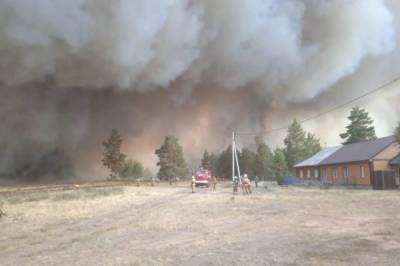 Площадь природных пожаров в Челябинской области достигла 14 тыс. га