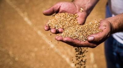 Украину ждет «зерновое проклятие» — политолог