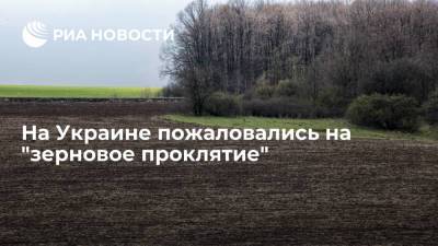 Политолог Карасев рассказал о "зерновом проклятии" Украины