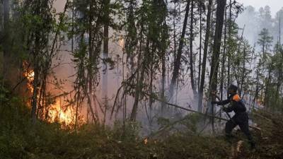 В МЧС рассказали о ситуации с лесными пожарами в Челябинской области