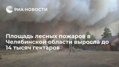 Площадь лесных пожаров в Челябинской области возросла почти втрое, до 14 тысяч гектаров