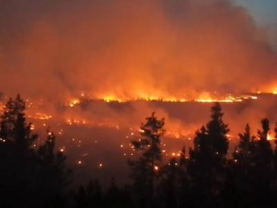Эвакуированы два поселка: в Челябинской области огнем охвачены 14 тысяч гектаров
