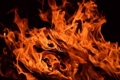 Пожарные Енакиево спасли из горящей квартиры двух маленьких детей