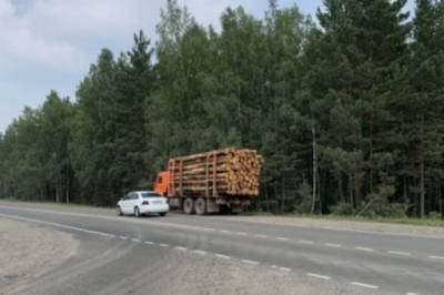 В Комсомольске в партии лесоматериалов обнаружены короеды