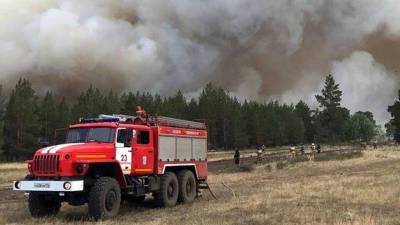 Оперативная группа МЧС прибыла в Челябинскую область для борьбы с лесными пожарами