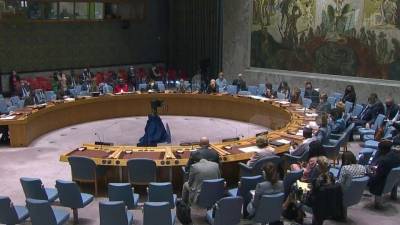 Совбез ООН единогласно принял резолюцию по Сирии