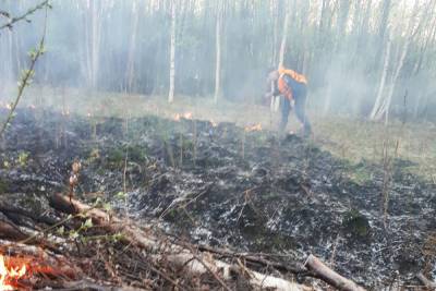 Больше пяти часов тушили лесной пожар в Южском районе