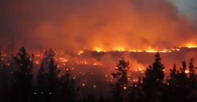 Лесные пожары в Челябинской области уничтожили более 70 домов