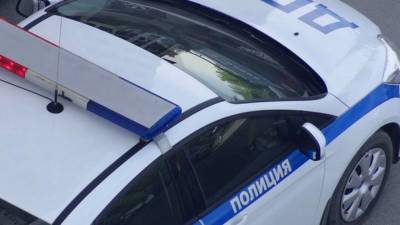 Пьяного водителя каршеринга задержали после погони в Петербурге