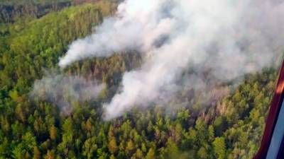 В Челябинской области в природных пожарах пострадали 18 человек