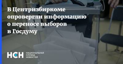 В Центризбиркоме опровергли информацию о переносе выборов в Госдуму