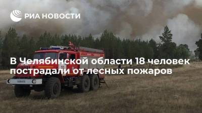 Челябинские власти сообщили, что 18 человек обратились за медпомощью из-за лесных пожаров