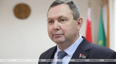 Сенатор: Польша активно, грубо и на правительственном уровне вмешивается во внутренние дела Беларуси