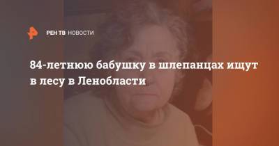 84-летнюю бабушку в шлепанцах ищут в лесу в Ленобласти