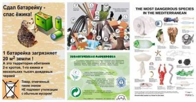 Пусть мусора: 25 экологических шпаргалок для спасения мира