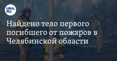 Найдено тело первого погибшего от пожаров в Челябинской области