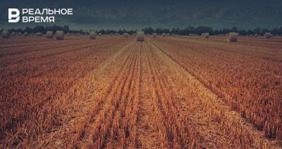 Ситуация с обеспеченностью почвы влагой в Татарстане остается неудовлетворительной — Минсельхозпрод РТ