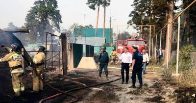 МЧС: от пожаров под Челябинском удалось спасти более 1800 домов
