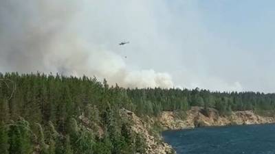 Более 1800 домов удалось спасти от лесных пожаров в Челябинской области
