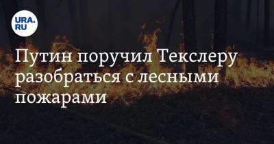 Путин поручил Текслеру разобраться с лесными пожарами