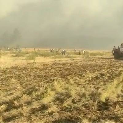 За медицинской помощью в Челябинской области из-за лесных пожаров обратились 18 человек