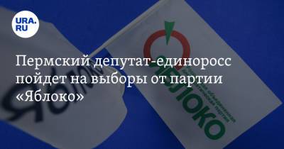 Пермский депутат-единоросс пойдет на выборы от партии «Яблоко»