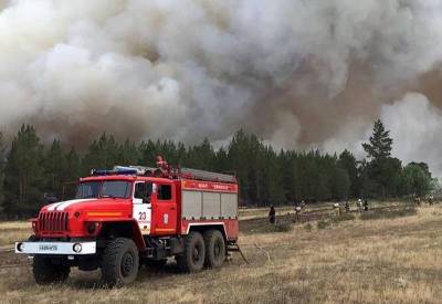Путин поручил помочь пострадавшим от природных пожаров в Челябинской области