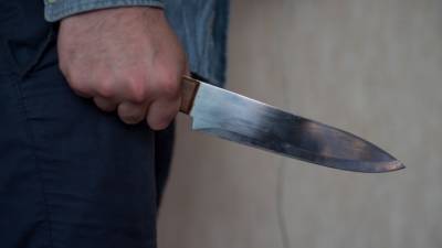 Историк московского университета ударил сына ножом в живот за замечание