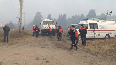 В МЧС заявили о локализации всех пожаров в Челябинской области