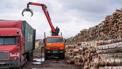 С начала года в число петербургских экспортёров вошли более 40 компаний