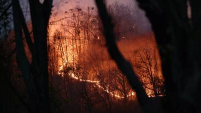 Режим ЧС ввели в одном районе Чукотки из-за природных пожаров