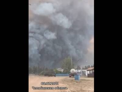 Видео лесного пожара на Южном Урале изумило пользователей TikToka
