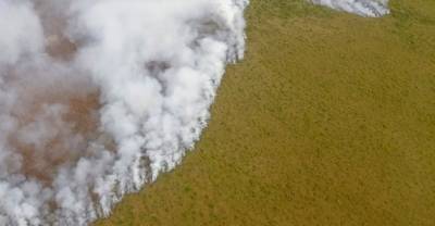 Режим ЧС ввели в районе Чукотки из-за лесных пожаров