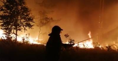 В МЧС сообщили о локализации почти всех очагов пожаров в Челябинской области