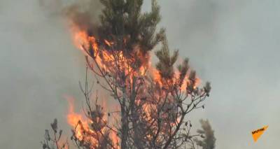 В Челябинской области борются с природными пожарами - видео