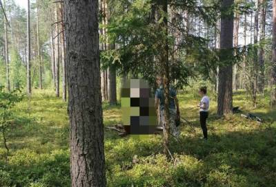 Фото: мертвого мужчину нашли на дереве в Ленобласти