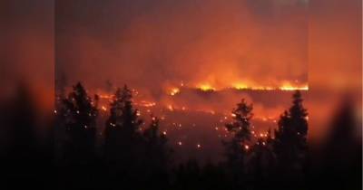 Південь Челябінської області у вогні: пожежі вирують у семи населених пунктах