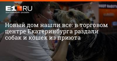 Новый дом нашли все: в торговом центре Екатеринбурга раздали собак и кошек из приюта - e1.ru - Екатеринбург