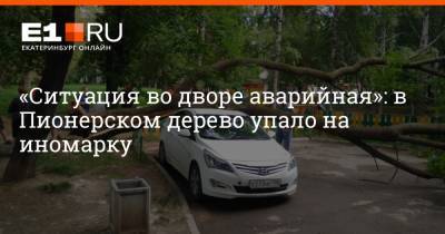 «Ситуация во дворе аварийная»: в Пионерском дерево упало на иномарку - e1.ru - Екатеринбург - Пионерск